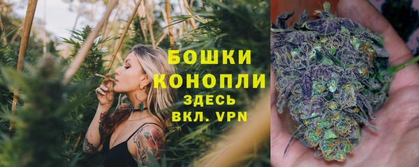 соль ск Абаза