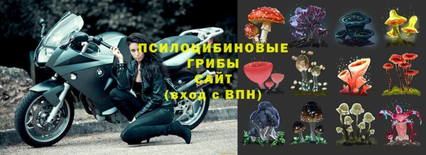 соль ск Абаза